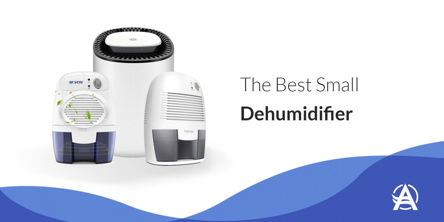 What Is The Best Small Dehumidifier? [9 Reviewed For 2024]